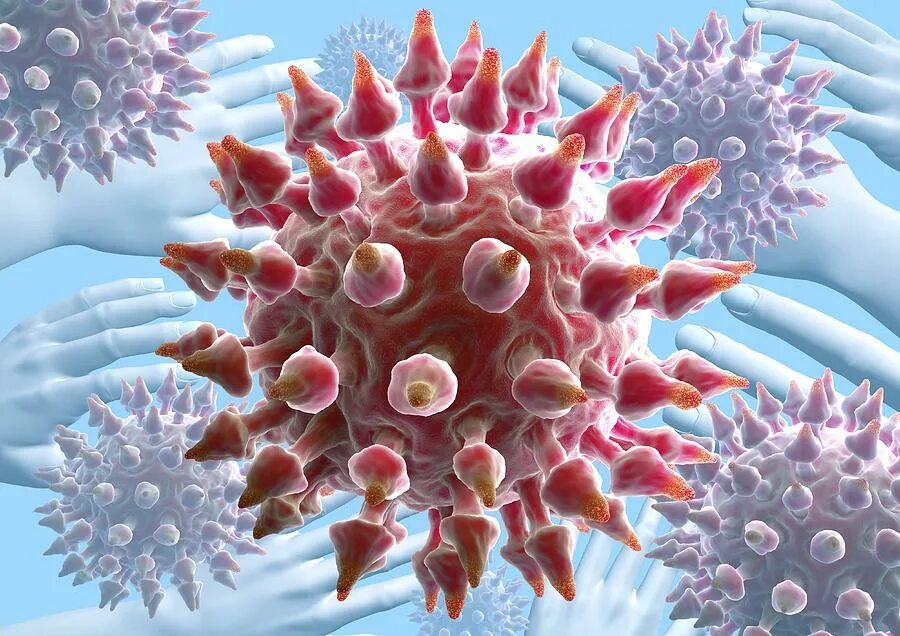 Papilloma virus. Вирус папилломы человека картинки.