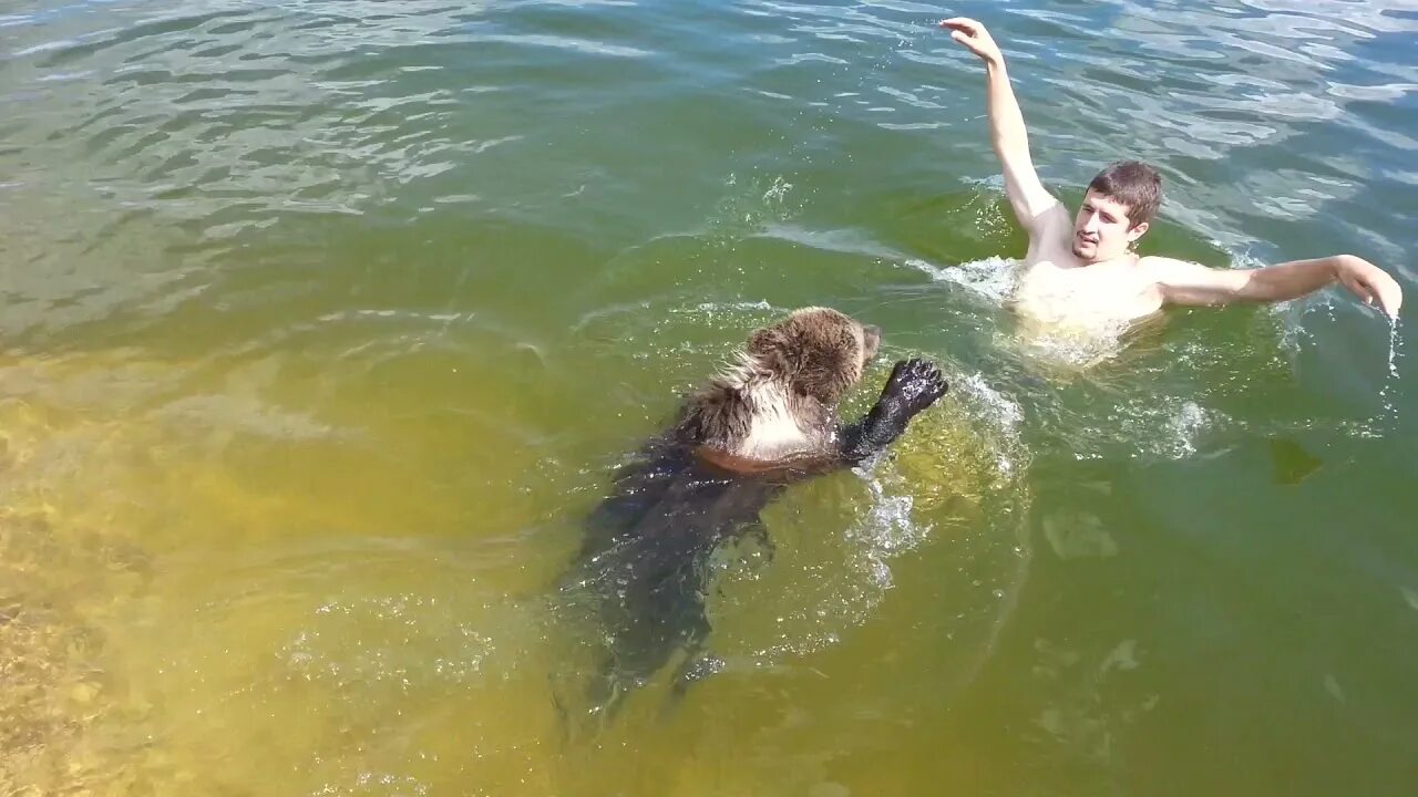 плывет в море. плавать в бассейне. мертвое озеро иордания. загораем и плаваем. купаются ли в океане.