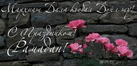Мархнаш къобал дойла поздравления
