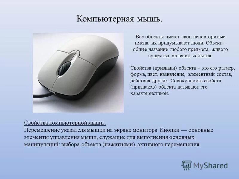 мышь для презентации.