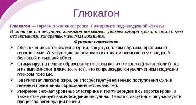 Основные гормоны поджелудочной железы. Глюкагон. Глюкагон функции в организме. Глюкагон функции гормона. Избыток гормона поджелудочной железы