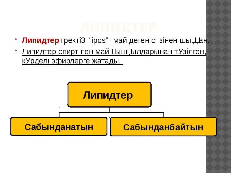 Липидтер. Липидтер презентация. Липидтер деген не.