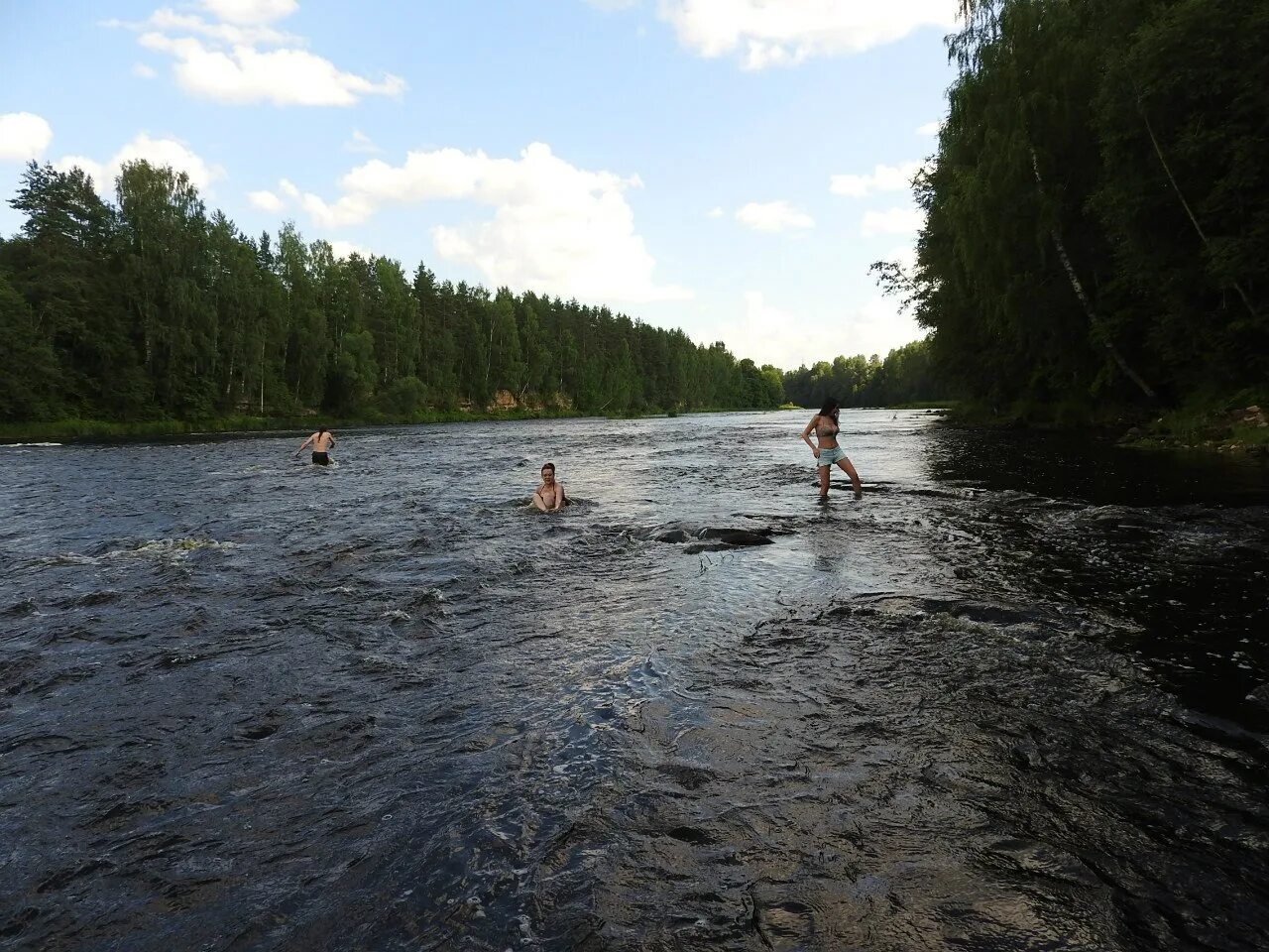 Река Мста Боровичи. Река Понеретка Новгородская область. Пороги на реке Сясь. Река мста новгородская область