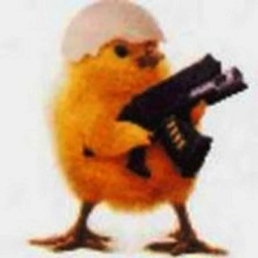 Цыпленок с пистолетом. Боевой цыпленок. Цыпленок с автоматом. Утка с пистолетом.