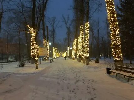 Бердск новогодний