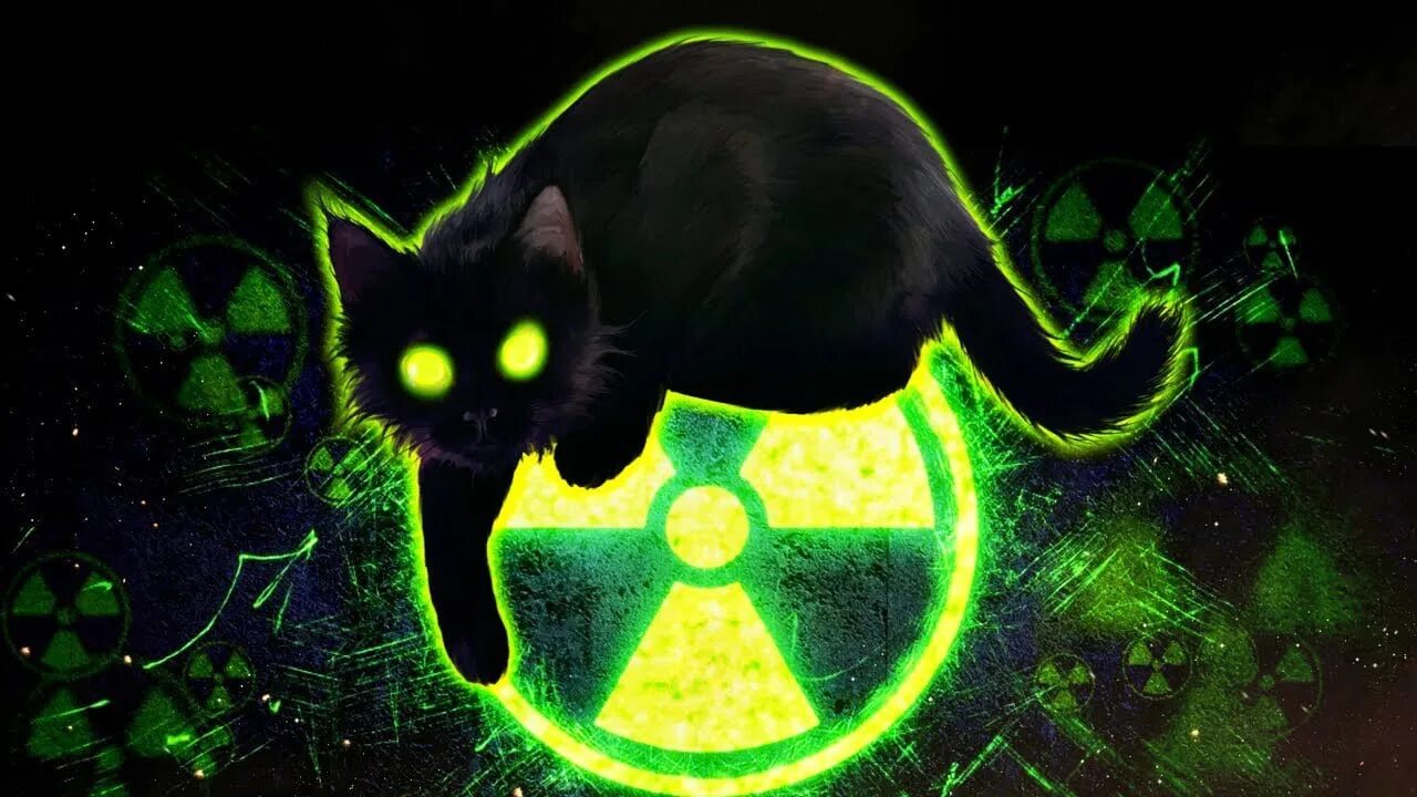 Коты 10 часов. Радиоактивный кот. Токсичный кот. Кот и радиация. Радиация арт.