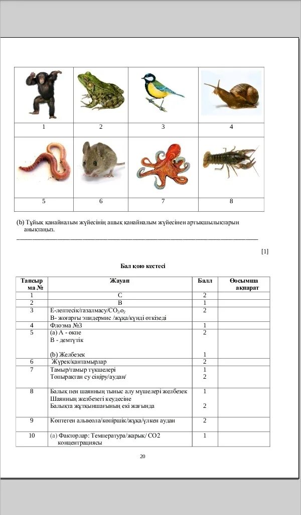 Соч по биологии 7 класс. Биология 1. Биология 3-4 класс. Биология 2, 2, 2. Соч по биологии 9 класс 2 четверть.