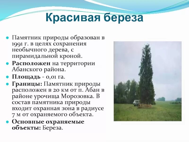 Памятники природы особо охраняемые территории. Памятники на тему природа в оренбургской области. Природа и памятники природы в мордовии. Вековой дуб исполнитель желаний в самарской луке. Вековой дуб достопримечательность самарской луки.