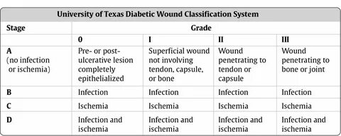 Wound перевод