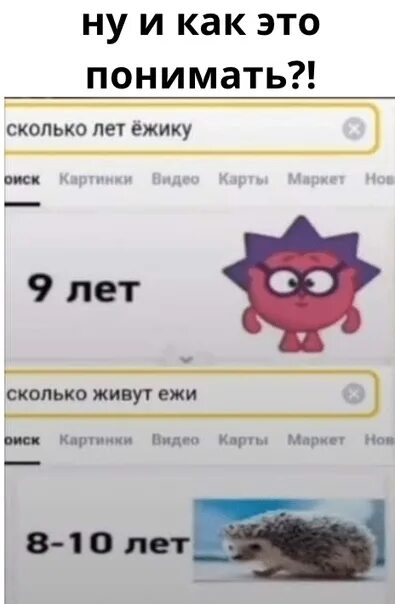 Сколько лет ежику задача. Ежик мемы. сколько лет ёжику. ёжик смешарики мем. ёжик смешарики мемы.