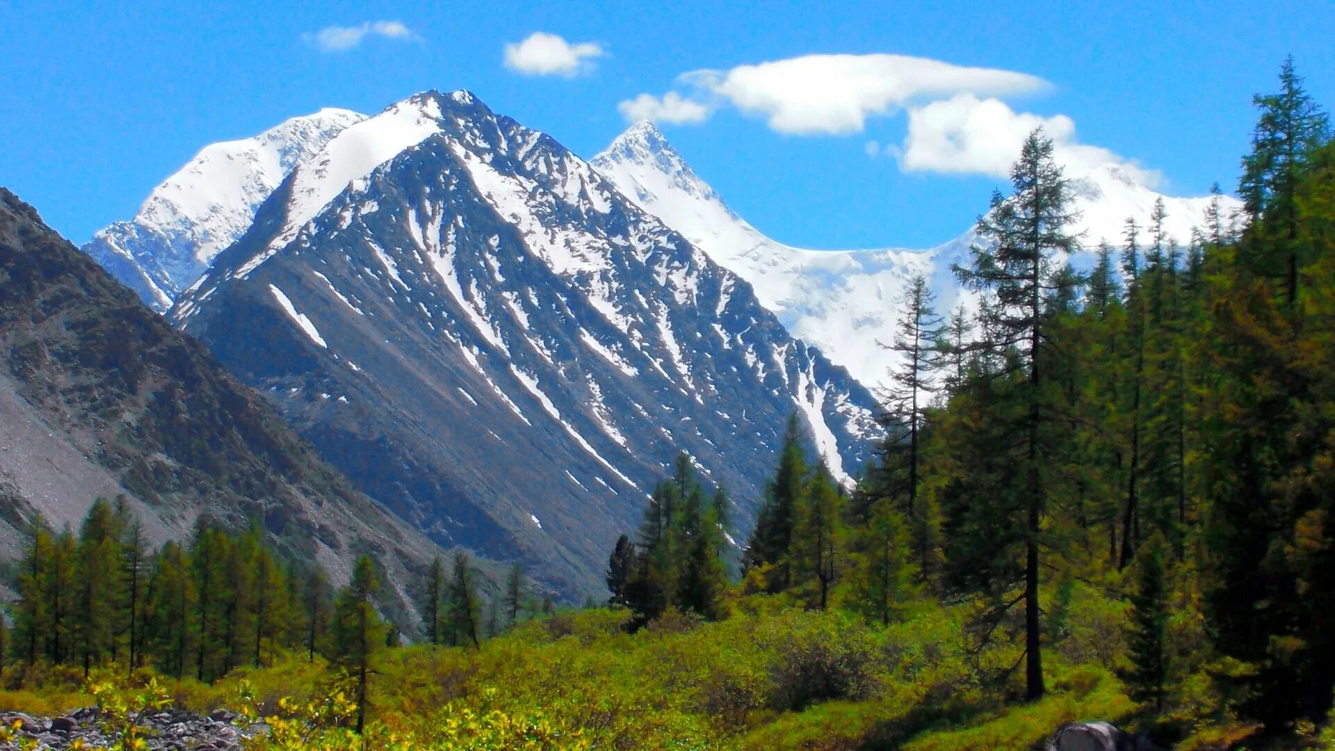 Песня горы алтая. Гора белуха, горный алтай. риддер гора белуха. природа алтая гора белуха. риддер казахстан горы.