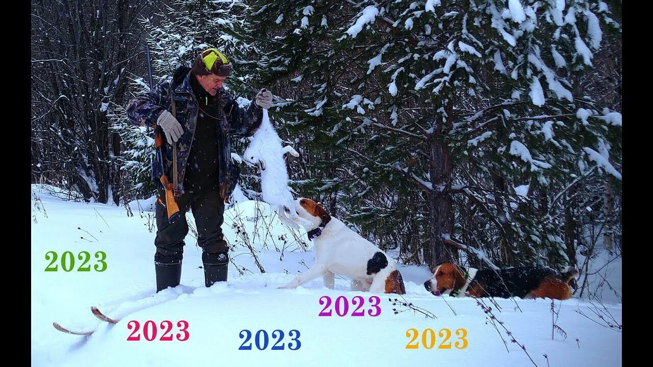 Зимняя охота в Башкирии 2023 год. Зимняя охота на Зайцев добыча.