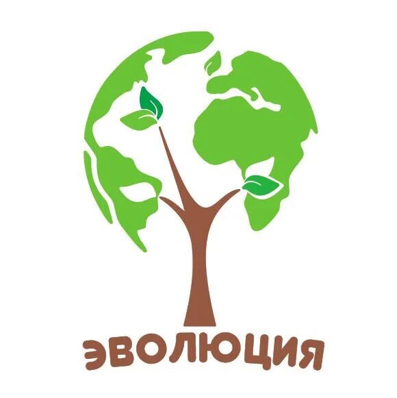 Экологически грамотное. Вопросы зеленой экономики. Экологический проект. Логотип экологического проекта. Экологический урок.