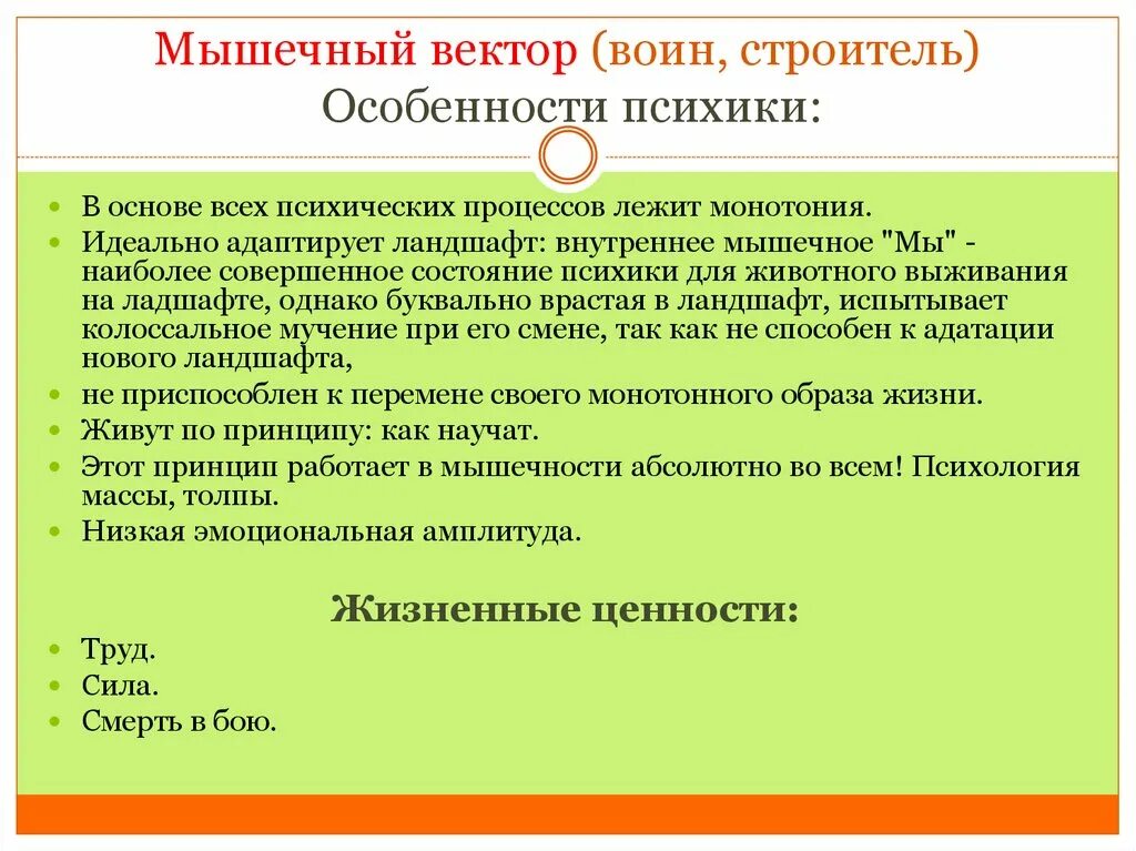 Векторная психология это. Психология вектор. Мышечный вектор психология. Системно-Векторная психология. Тест на вектора психология.