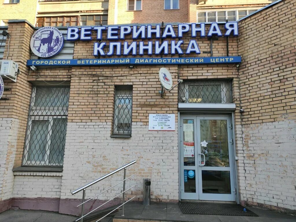 101 далматинец ветклиника химки. мельникова, д. клиника 101 далматинец химки. 101 далматинец химки мельникова. 101 далматинец (101 dalmatians).