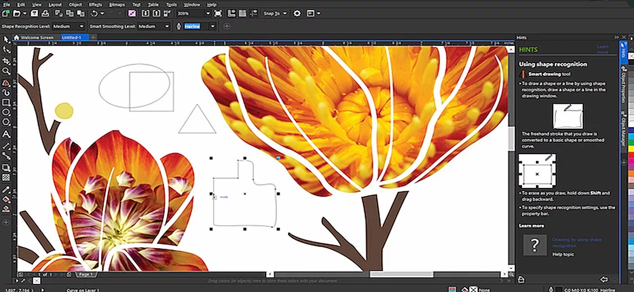 Coreldraw графики. Корел. coreldraw иллюстрации. coreldraw картинки. уроки корел дро.