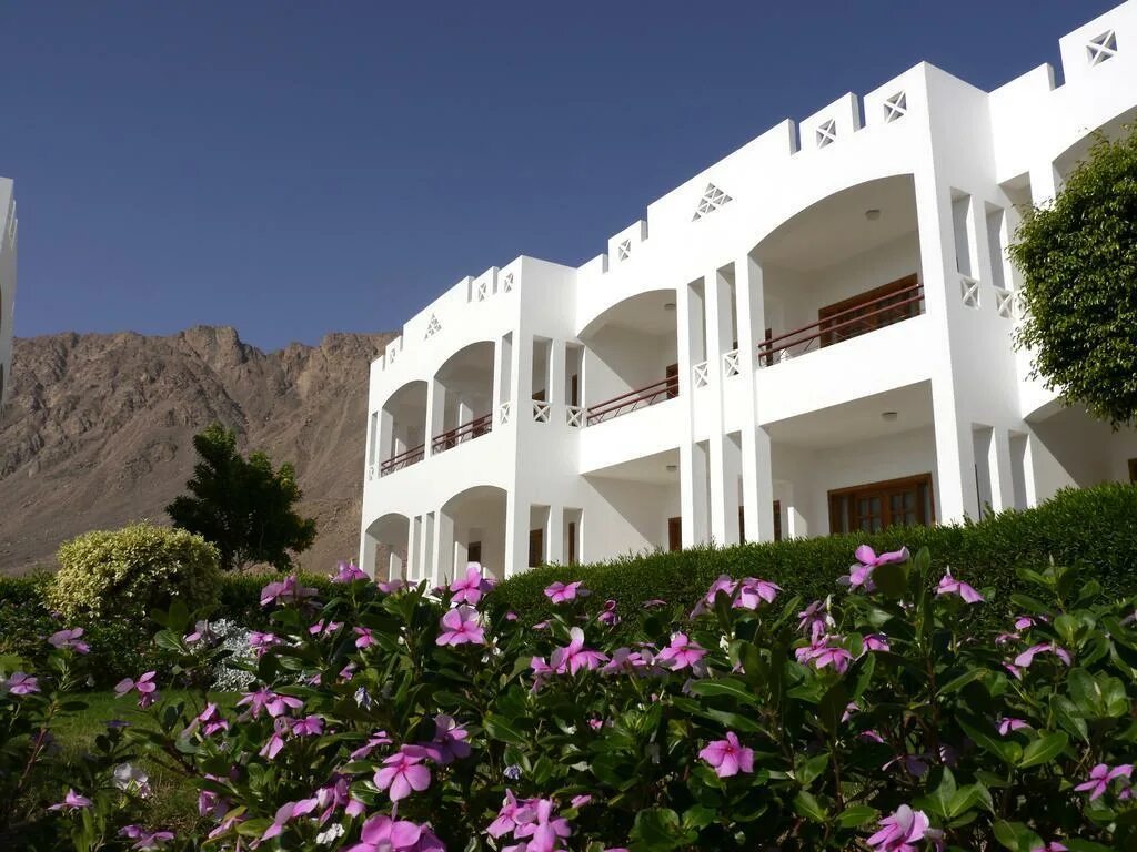 Хэппи лайф дахаб. Отель хэппи лайф вилладж. happy life village dahab. деревня дахаб египет. happy life village dahab отзывы.