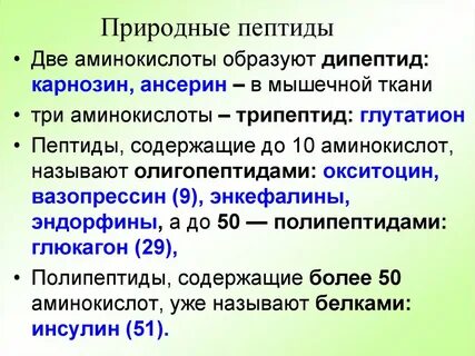 1 пептид содержит