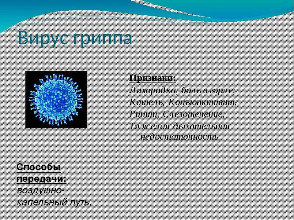 Признаки вирусов биология 5 класс. Вирусы биология. Презентация по теме вирусы. Вирусы 5 класс биология. Загадки про вирусы.