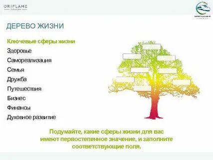 Дерево жизни ответ