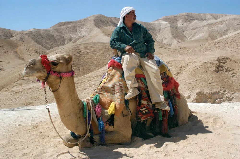 Верхняя одежда бедуинов 6 букв. Одежда бедуинов в пустыне. Бедуины женщины. Бедуин на верблюде. Бедуины в пустыне пенсионеры.