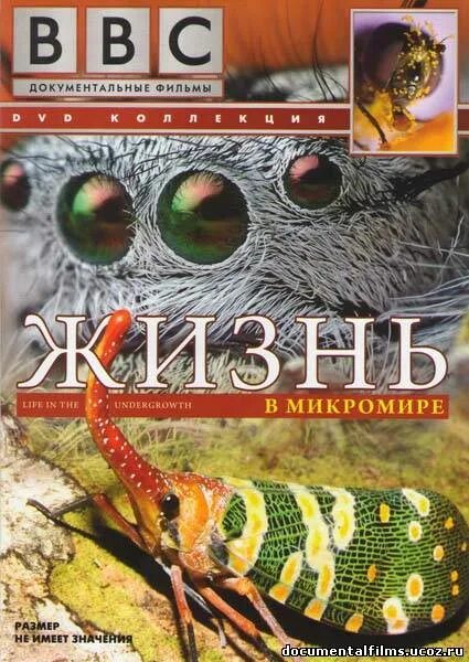 Микромиры bbc. Bbc жизнь млекопитающих. жизнь в микромире bbc.