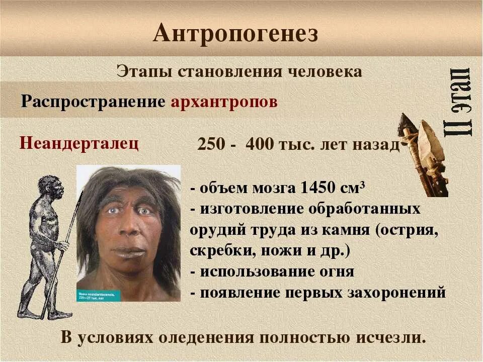 Становление человеческого в человеке