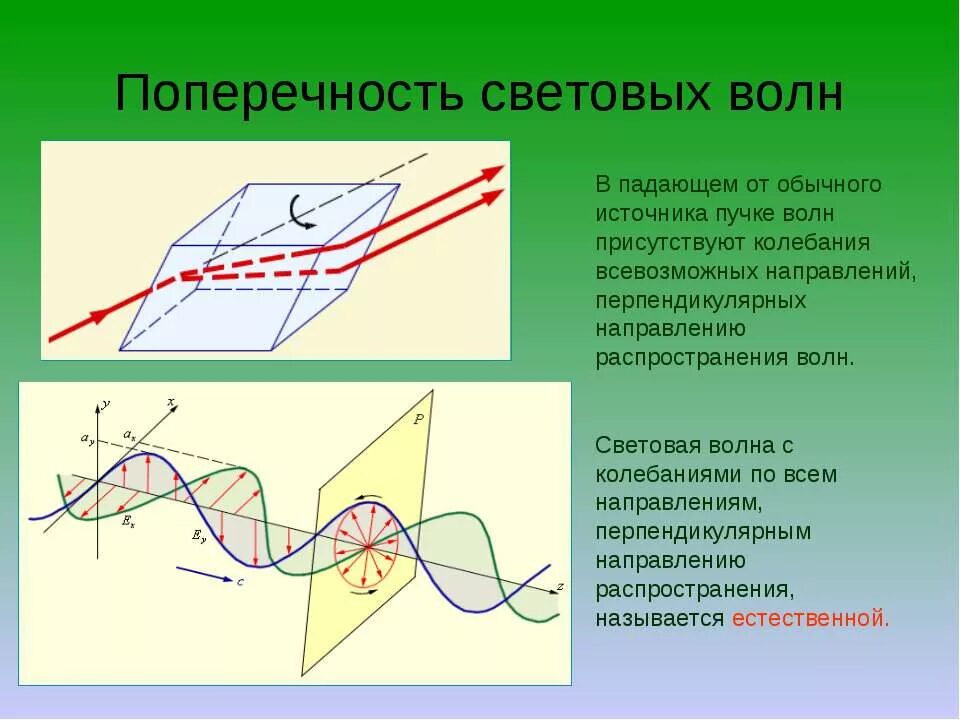 Поперечность световых волн поляризация света. Световые волны. Поперечность световых волн и электромагнитная теория света. Поперечность световых волн кратко. Перпендикулярно направлению реки