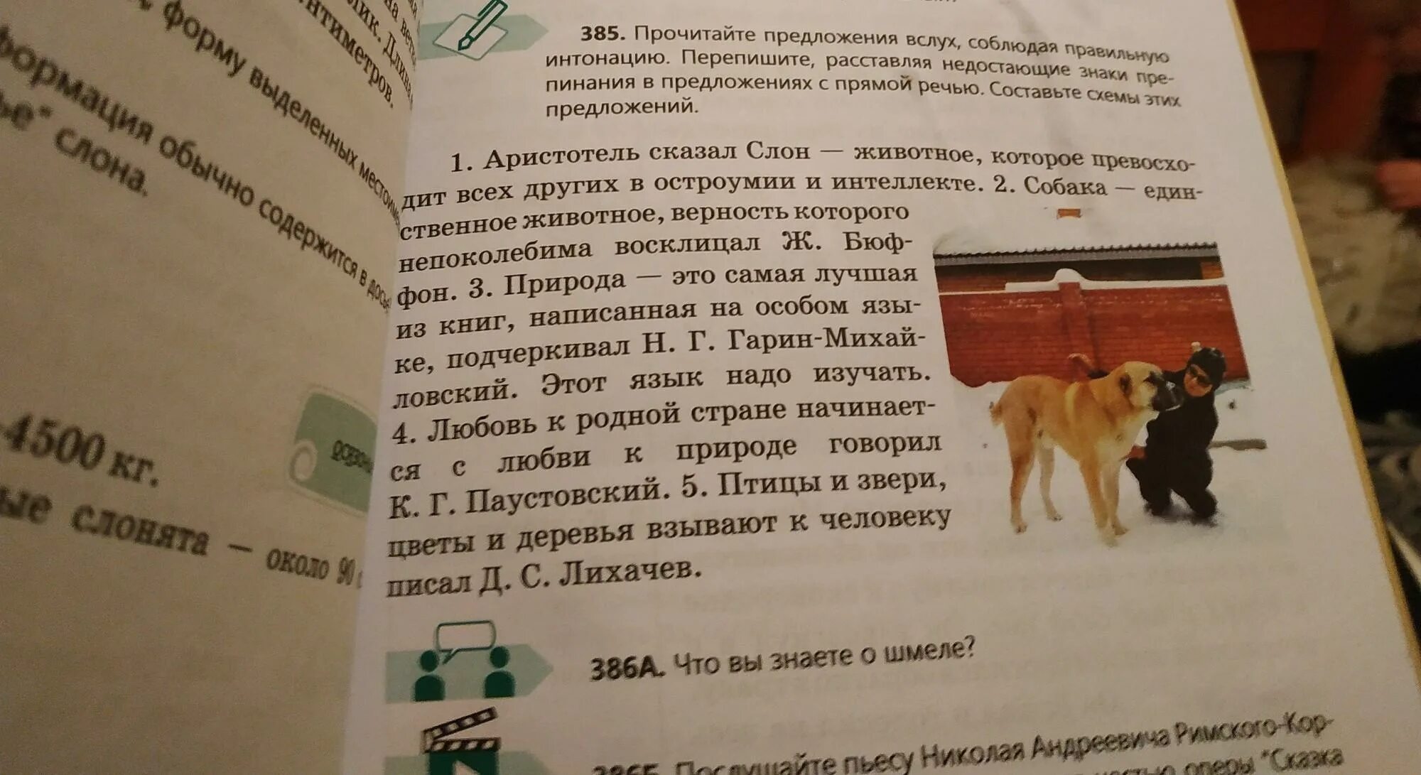 Прочитайте предложения соблюдая правильную интонацию. Прочитайте вслух соблюдая правильную интонацию. Прочитайте предложение правильно. Прочитайте пословицы, соблюдая правильную интонацию..