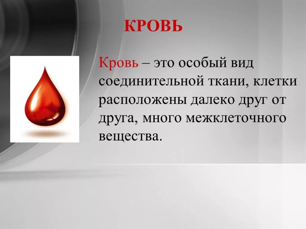 Песня кровь это кровь как приятно наблюдать. Кровь это особый вид соединительной ткани. «Кровь – это сок совсем особый» Гете.