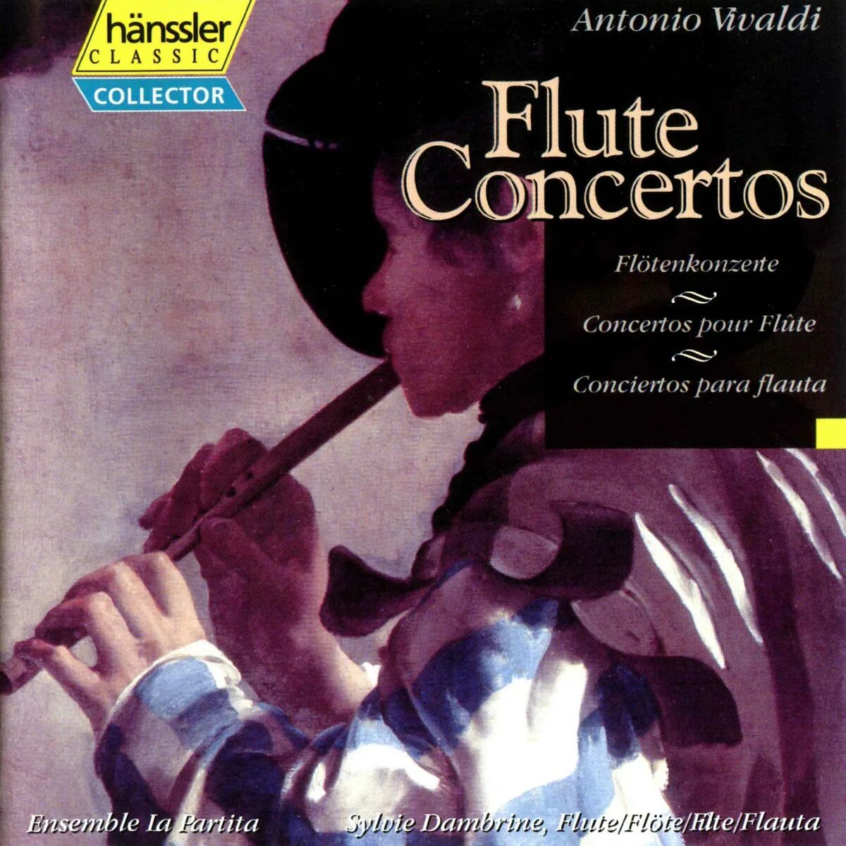 Flute concertos