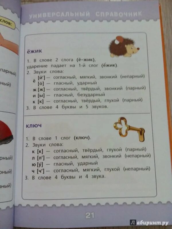 Буквенный разбор слова ежи