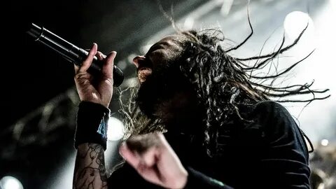 Korn rotting in vain
