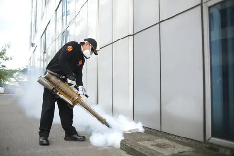 Газация