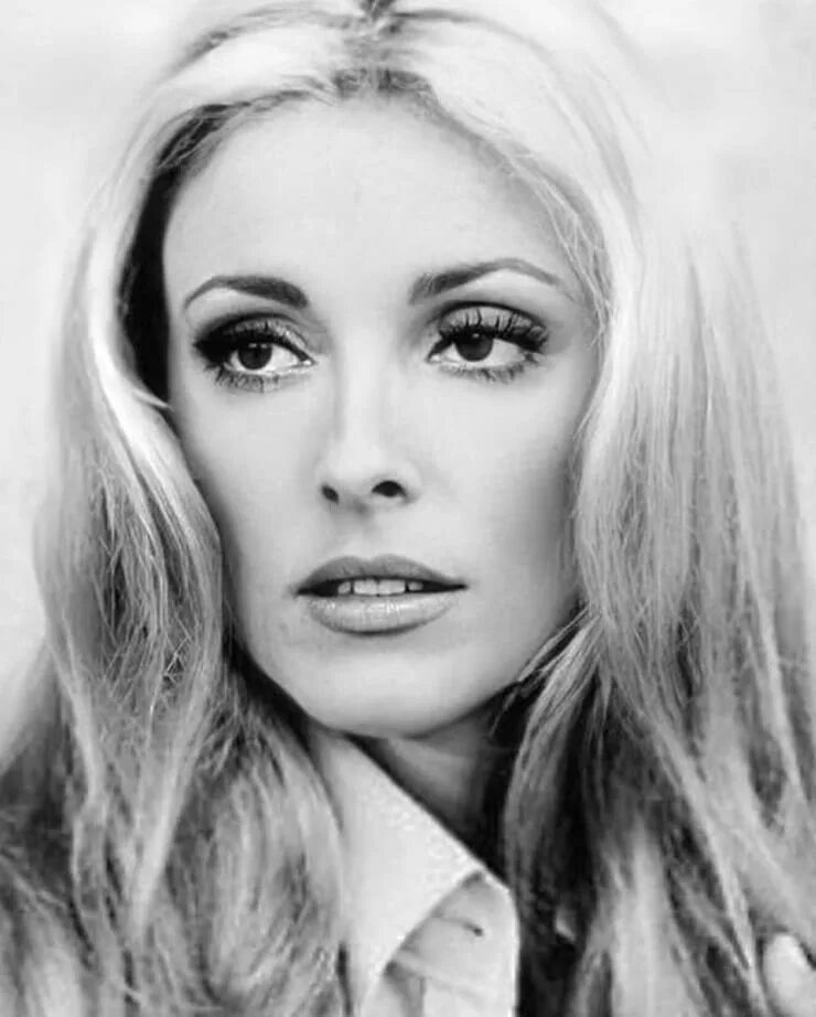 Шарон тейт википедия. Шэрон тейт. Шэрон тейт. Шэрон тейт. Шэрон тейт.