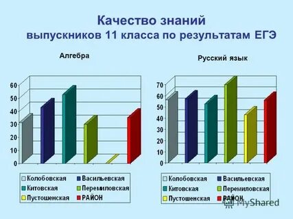 Сколько учеников в школе номер 1