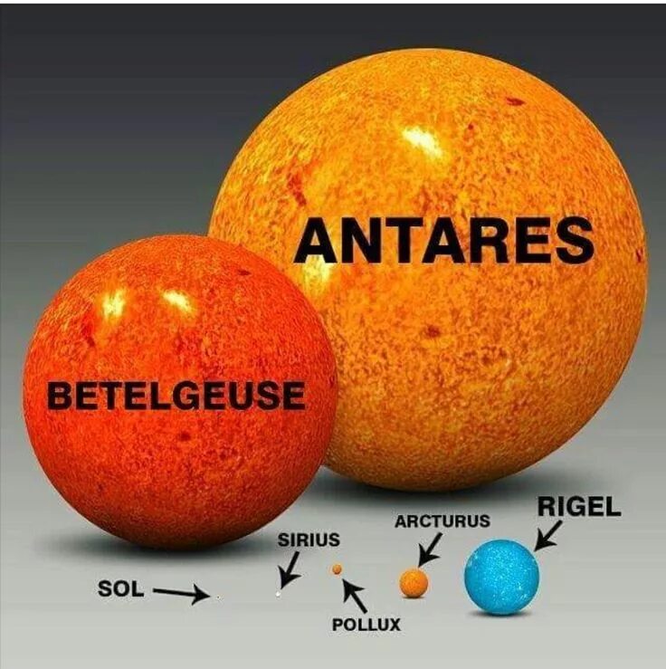 Sol space. Сириус, Бетельгейзе, солнце Арктур. Звезда Бетельгейзе и Антарес. Размер звезд Бетельгейзе и Сириус. Антарес Бетельгейзе солнце.