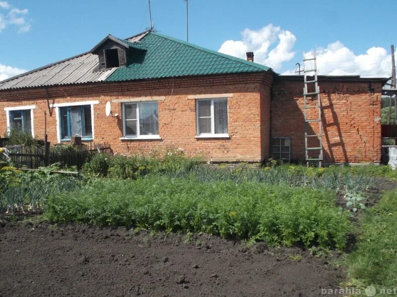 Чусовитино кемеровская область. Чусовитино кемеровская область. Егозово. Соревнования по фидеру. Посёлок восходящий ленинск кузнецкий.