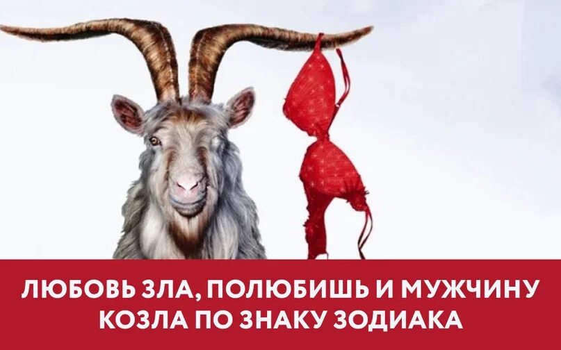 Любовь зла полюбишь и козел. Любовь зла полюбишь и козел