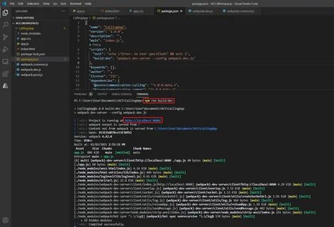 Webpack server