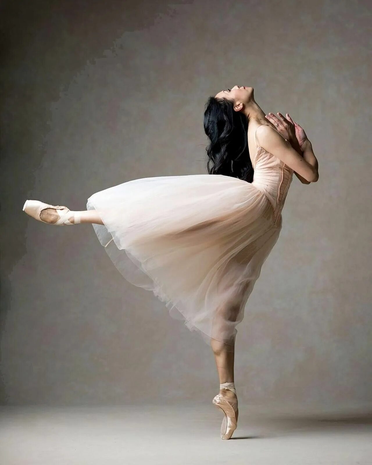 Балерина танцует. Балерины. Балерина со спины. Девушка балерина. Красивые балерины.