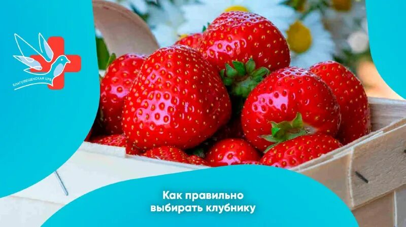 В клубнике содержится в среднем 6. В клубнике содержится в среднем 6