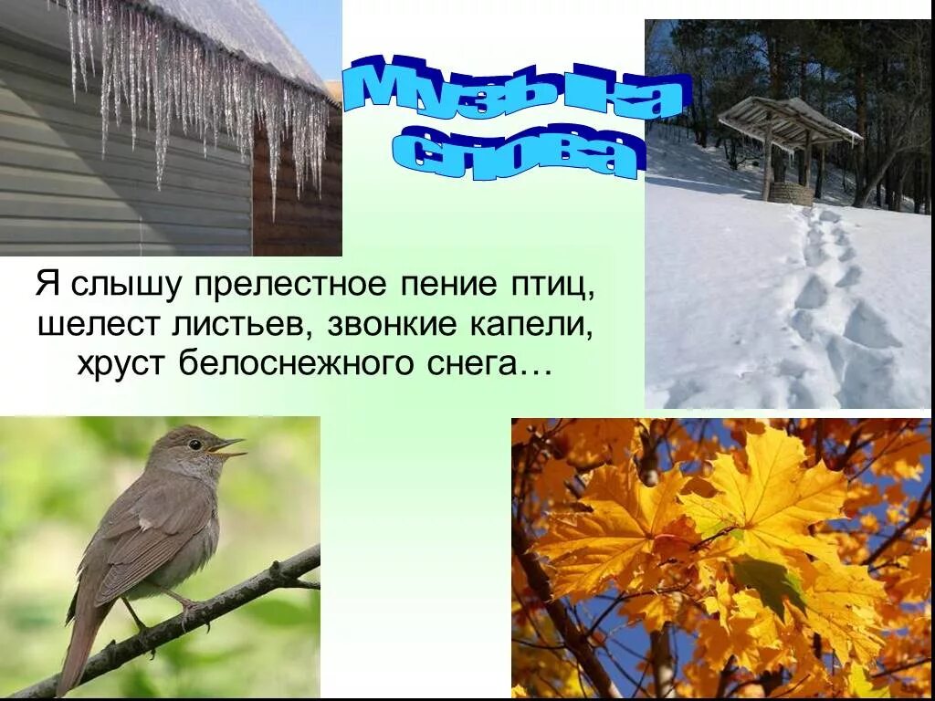 Уже не слышишь звонкого пения. Шелест листьев, щебетанье птиц. Звук Шелест листьев в лесу. Уже не слышишь звонкого пения птиц. Звуки пение птичек и Шелест листьев.