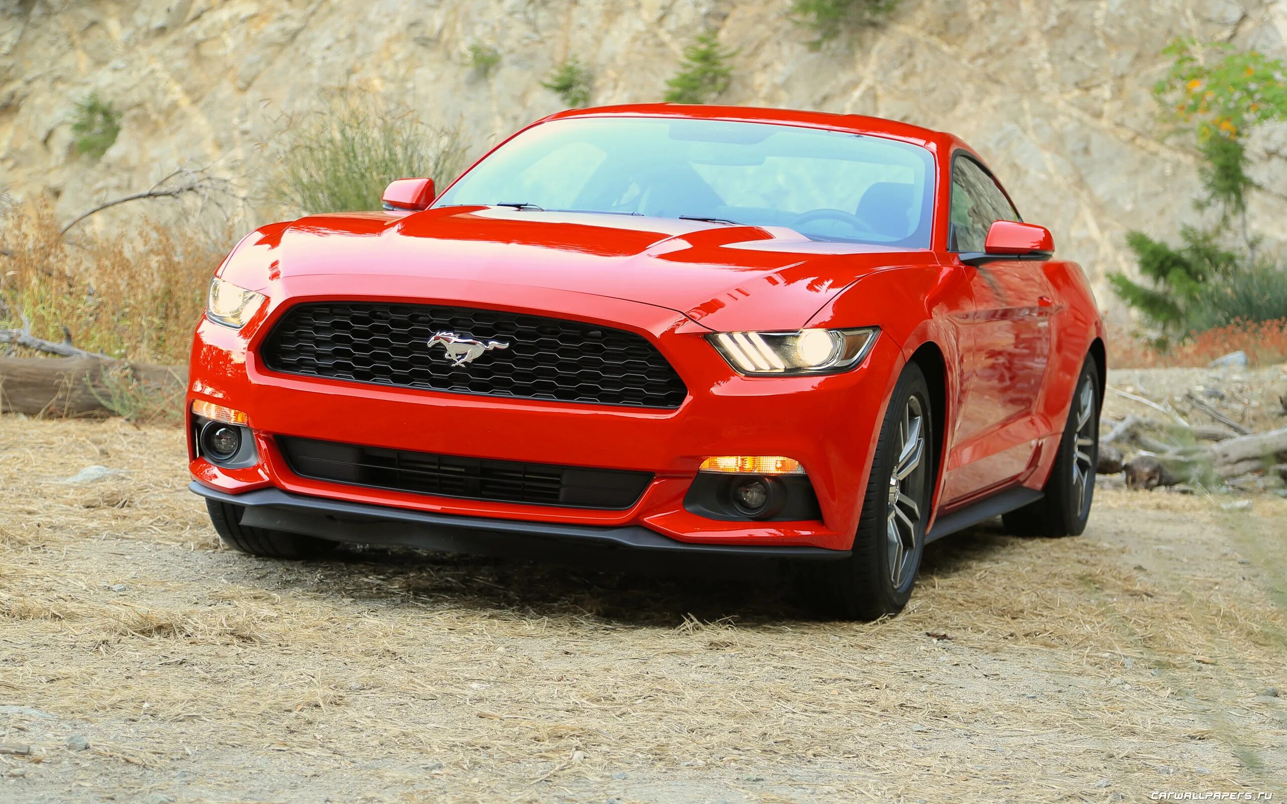 Мустанг производитель. Форд Мустанг 2015. Ford Mustang ECOBOOST машина. Ford Mustang 2015 красный. Мустанг машина 2015.