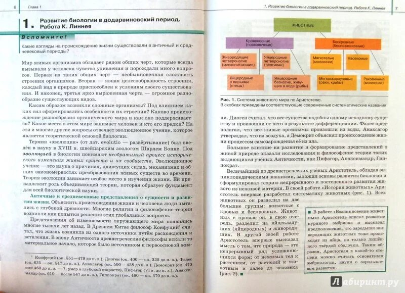 Общая биология 11 класс сивоглазов. Биология. 11 Класс общая биология Сивоглазов,Агафонова,Захарова. Биология 11 класс базовый уровень Сивоглазов. Агафонова Сивоглазов биология животных 10-11 классы. Учебник базовый биология 11 класс.