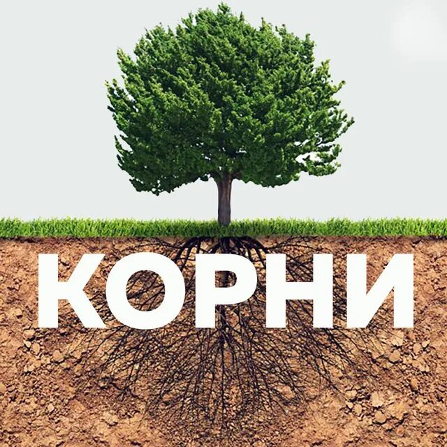 Брать свои корни. Корни логотип. мои корни. пост корень. корень 480.