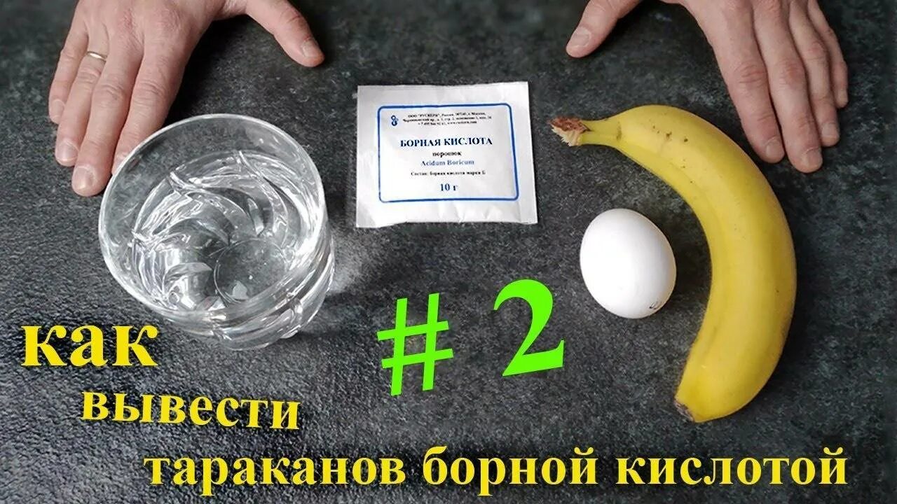 Отрава от тараканов борной кислотой и яйцом. Борная кислота. Борная кислота от тараканов. Средство от тараканов с борной кислотой. Отрава для тараканов с борной кислотой.