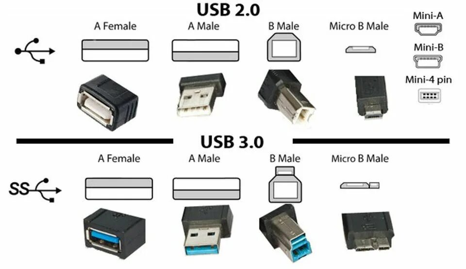 Разъем usb бывает. Отличие разъемов USB 2/0 И USB 3.1. Кабель USB 3.0 Type-a, Micro-USB 2.0 Type-b. USB 3.0 И USB 2.0 отличие разъемов. Типы разъемов USB 3.0.