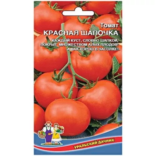 Сорт помидор красная шапочка. Семена томат красная шапочка. Семена помидор красная шапочка. Томат красная шапочка штамбовый. Томат красная шапочка характеристика и описание фото