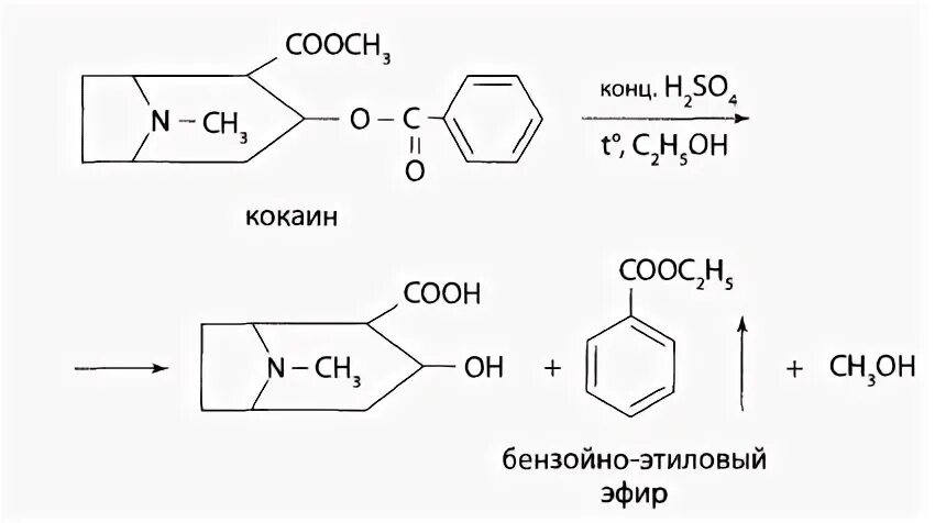 Бензойная кислота и перманганат калия. Реакция образования бензойноэтилового кокаин. Бензойноэтиловый эфир. Образование бензойноэтилового эфира. Кокаин с бензойно этиловым эфиром.